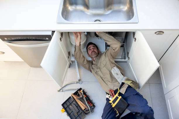 Best Local Plumber Services  in Portageville, MO